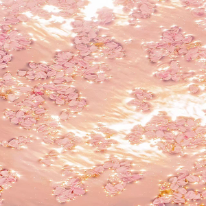 看看青年做爱视频
